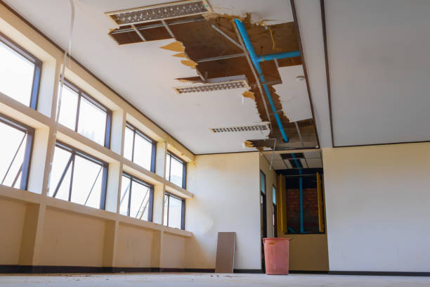 Best Water damage restoration near me  in Belvidere, IL
