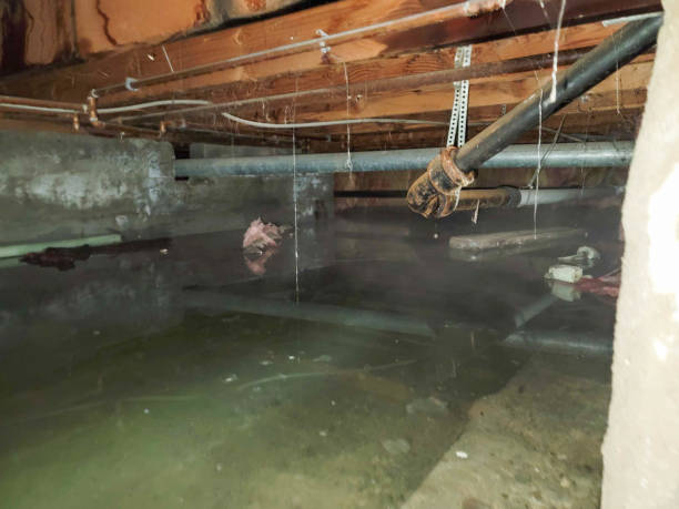 Best Water damage restoration near me  in Belvidere, IL