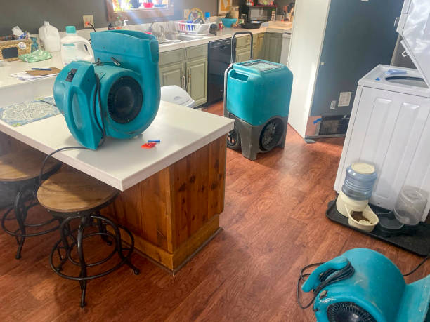 Best 24/7 water damage repair  in Belvidere, IL
