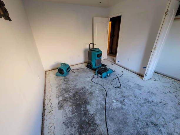 Best Carpet water damage restoration  in Belvidere, IL