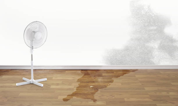 Best Emergency water damage restoration  in Belvidere, IL