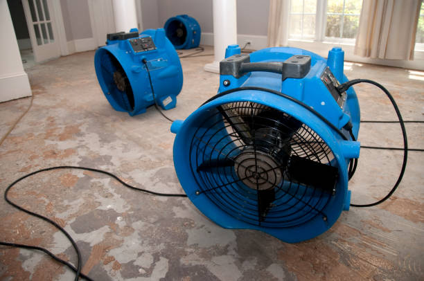 Best Basement water damage restoration  in Belvidere, IL